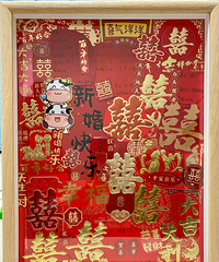 �û��������İ�ϲͼ��̫����������������������