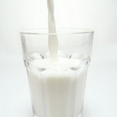 ÿ�����̺���