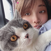 ������ �ǵ���Ŷ