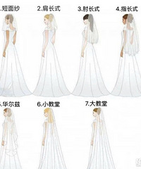 �����һ��ͷɴ����� ����������ͷɴ���ʺ���