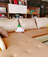 Ƥ�ʵ�ɳ����Զ��Ժô��� �õ�ר������Ҳ�ܲ��ɾ�