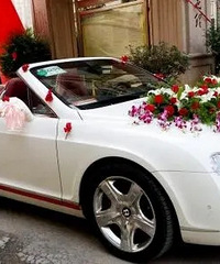 ��ɫ��� ��ɫ���� �ǻ鳵ѡ�ĸ���ɫ������ÿ�����������ͬ