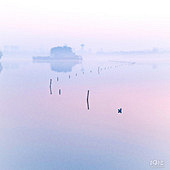 ��¼�Ϻ���һЩ��ɫ