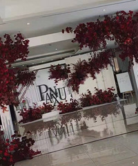 ����Ա��ջ�������ġ�������Ƹ�VS�ֳ��նԱȡ�