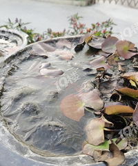 ��������ˣ�������ˣ�