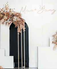 ɹ���ҵĻ����ã��ֳ�û�з�����������Ƹ�VS�ֳ��նԱȡ�