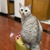 �����˺ܿɰ� �ǵ���