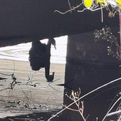 ��������ӵĺ����