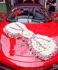 ��ɫ����ɫ���� �鳵ѡ�ĸ���ɫ��