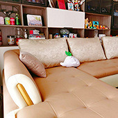 ɹɹ�Ҽҵ�ɳ��