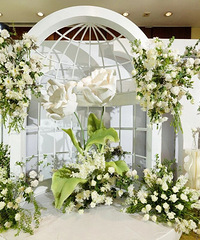 �ҵ�ˮ�������ã�ֻ��˵һģһ����������Ƹ�VS�ֳ��նԱȡ�