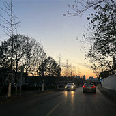 ����Ҷ�Ѿ�����