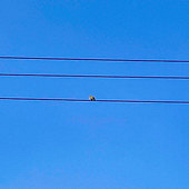 ��ѹ�����ϵ���