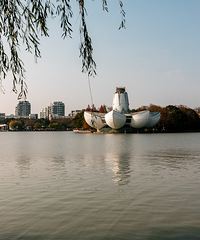 ������԰�����������