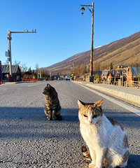 86꣬ۿڵèڵһֻˮ㣬ڵһԶ㡣