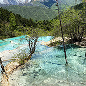 ����С��Լ������