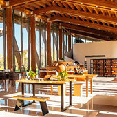 ����Ҳ�������