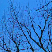 ���յ����������ɫ