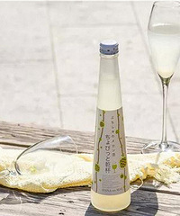 ������ ������ȫָ�� �͵������Ŀ��