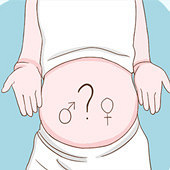 ��̥�Ĳ���Ů׼��