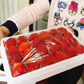 �����40һ��Ĳ�ݮ