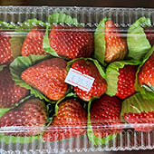 14�Ų�ݮ40Ԫ��