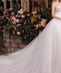 ��ɴ�������⣿�ҺͶ�������ܲ��ϡ���