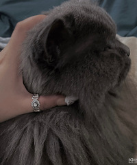 �������������������һؼҴ���������ʣ�