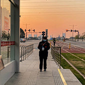 �й�糵����Ա��һ��