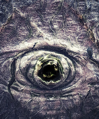 ���ص�������