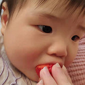 ���Ӳ����Ը�ʳ