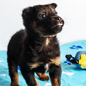 С�ڹ� �ܹԺܿɰ�