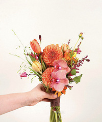 ������һ�������ĺ�ʽ����������ô����������