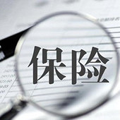 �ø�������ʲô����