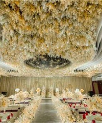 �����Ϻ����������бȽϺõļ��������Ƽ���