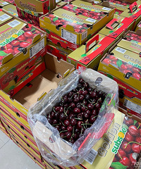 3J10��360Ԫ��ʵ�ֳ��������ɣ�