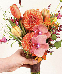 ������һ�������ĺ�ʽ����������ô����������