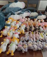 ɹɹ�һ�����׼���Ľ�Ʒ ����¶�����µ���..�����ָߣ�