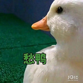 ����95��Ļ�����