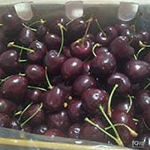 ���˰���µĳ�����