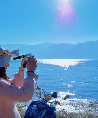 ʽרá95ҽС  ϣТ˳Ͻ