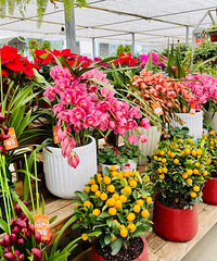 ¥̽81ڡСֲ֪ĺõط