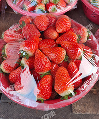 ����ˮ���г����ز�ݮ���� �㰮�Բ�ݮ��