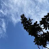 �ʺ�����ֽ�����