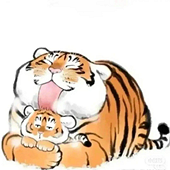 ��������̫Ӳ����