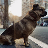 ���ף�����������