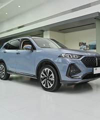 �������˿�������wey��ô��