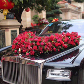 �������ѡ��鳵ͶƱ