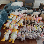 ���޴������ȫ��