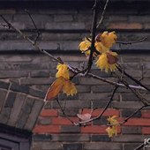 ���Ϸ��ӹ�����ֲ��